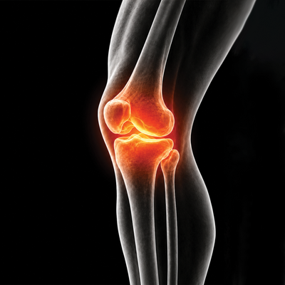 Knee & Leg Support